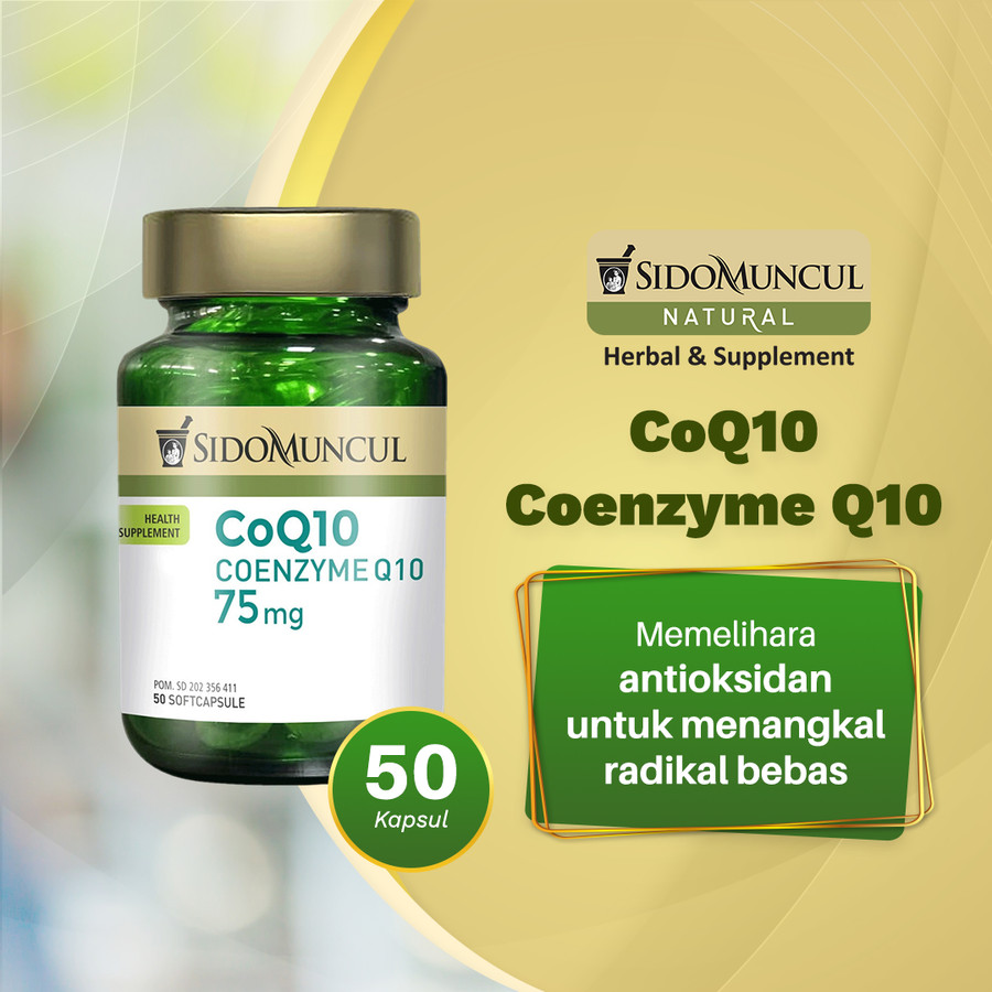 COQ10 COENZYME Q10
