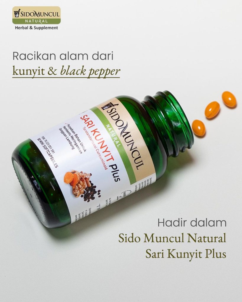 Obat alami asam lambung
