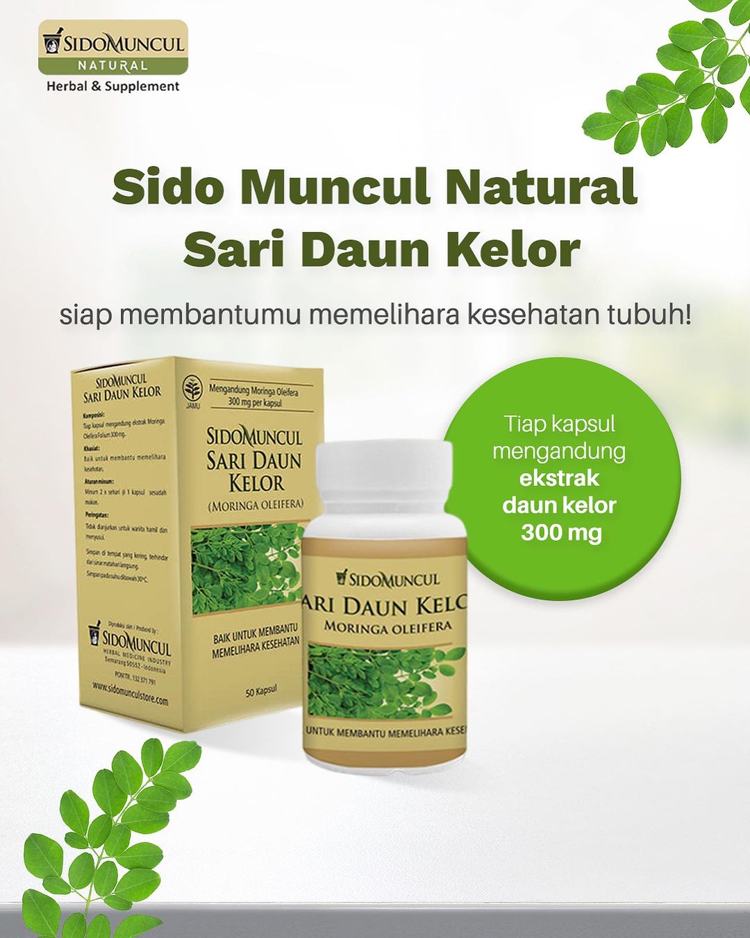 Khasiat dan Komposisi Sido Muncul Natural D-Kelor untuk Kesehatan