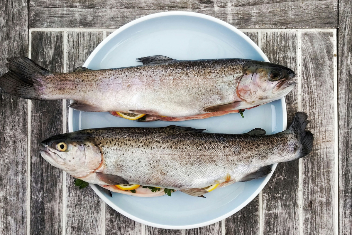 Mengulik Kandungan Gizi Ikan & Perannya bagi Kesehatan