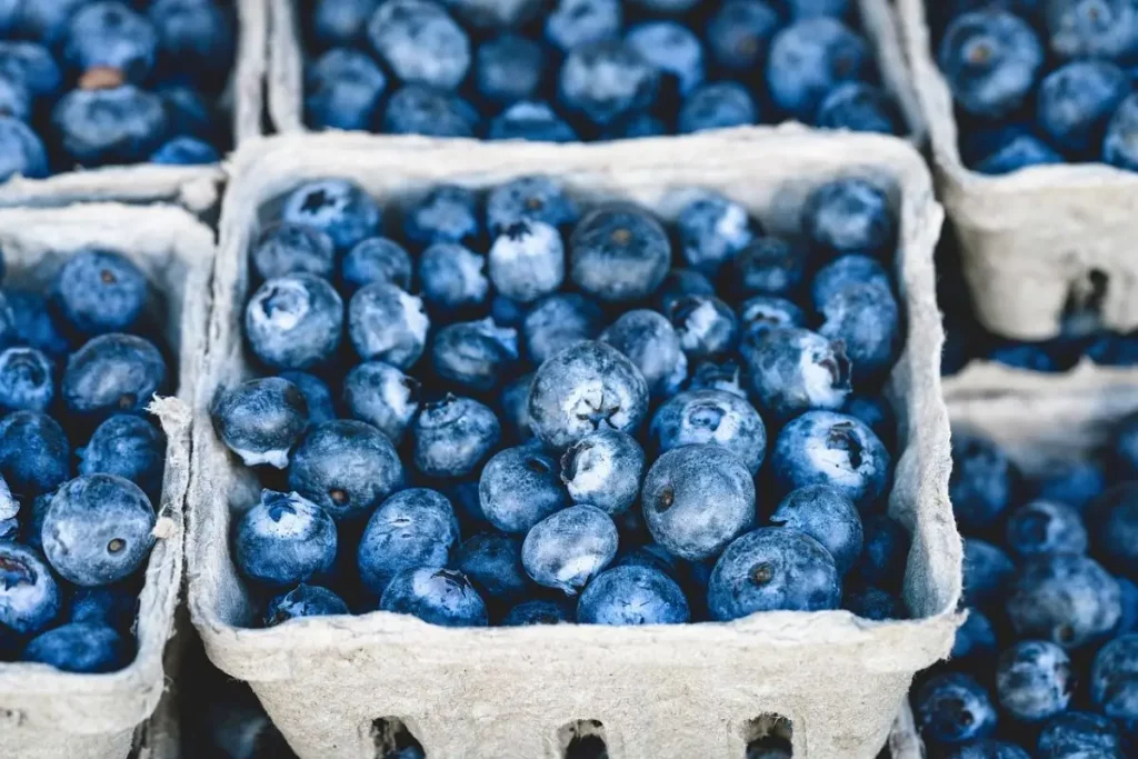 tumpukan blueberry di dalam wadah