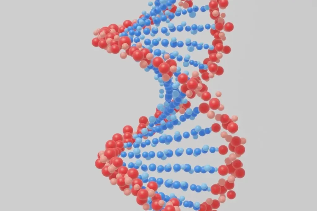 DNA