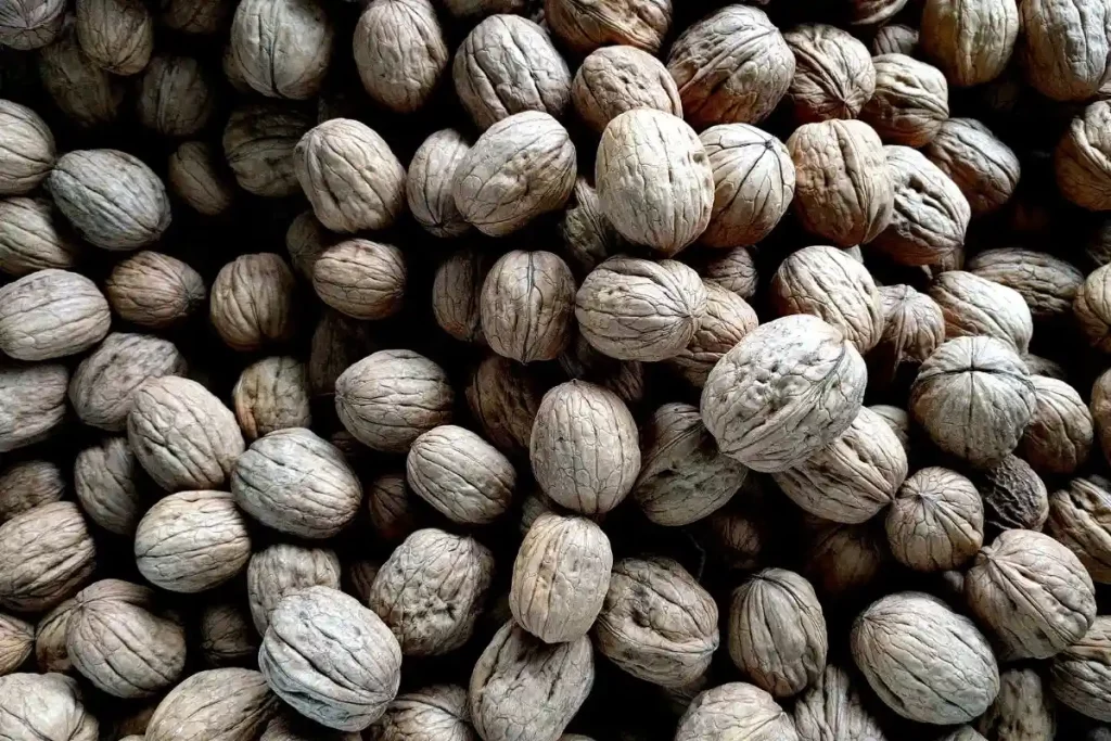 setumpuk kacang walnut